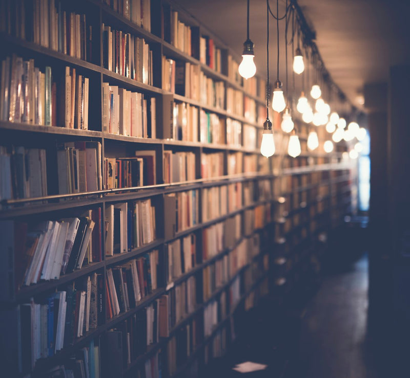 A long corridor of library shelves lined with books, warmly lit, stretching into the distance — the kind of library a shredder would end.