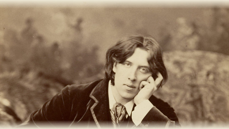 Oscar Wilde, photographed by Napoleon Sarony, New York, 1882 — taken during Wilde's American lecture tour. Public domain.