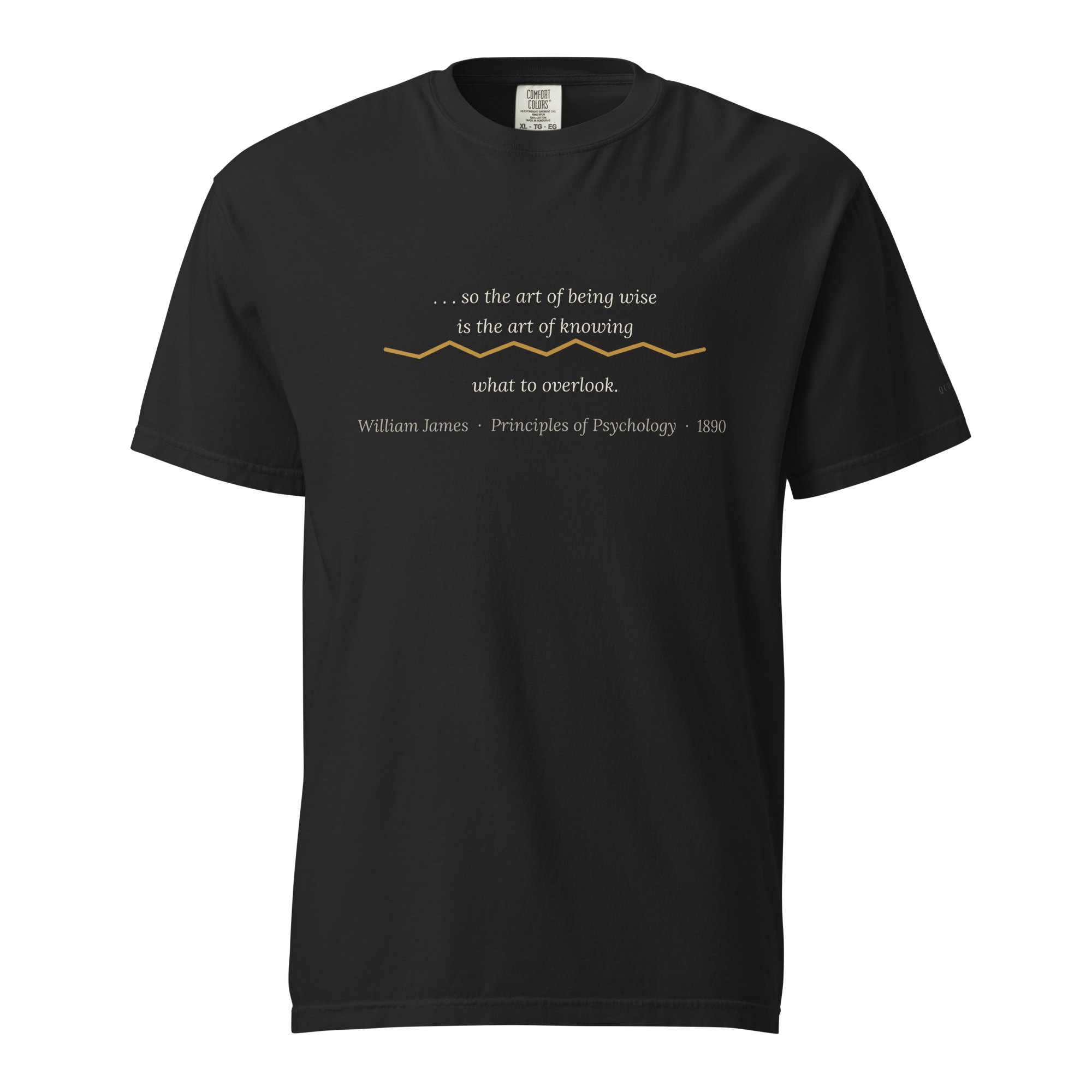 Art of Being Wise — William James Quote T-Shirt — black — front