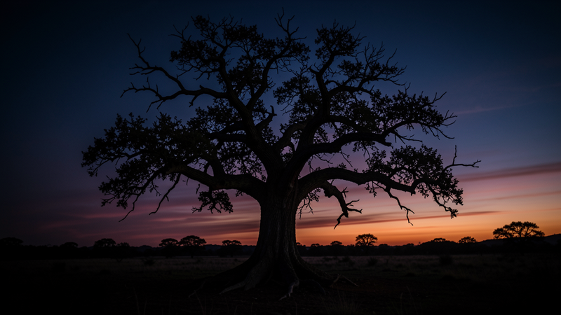 Ancient tree silhouetted against a dramatic dusk sky — hero image for William Blake Auguries of Innocence article
