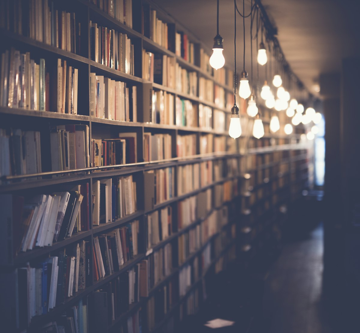A long corridor of library shelves lined with books, warmly lit, stretching into the distance — the kind of library a shredder would end.