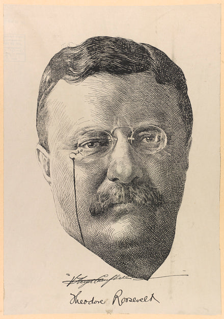 Theodore Roosevelt portrait