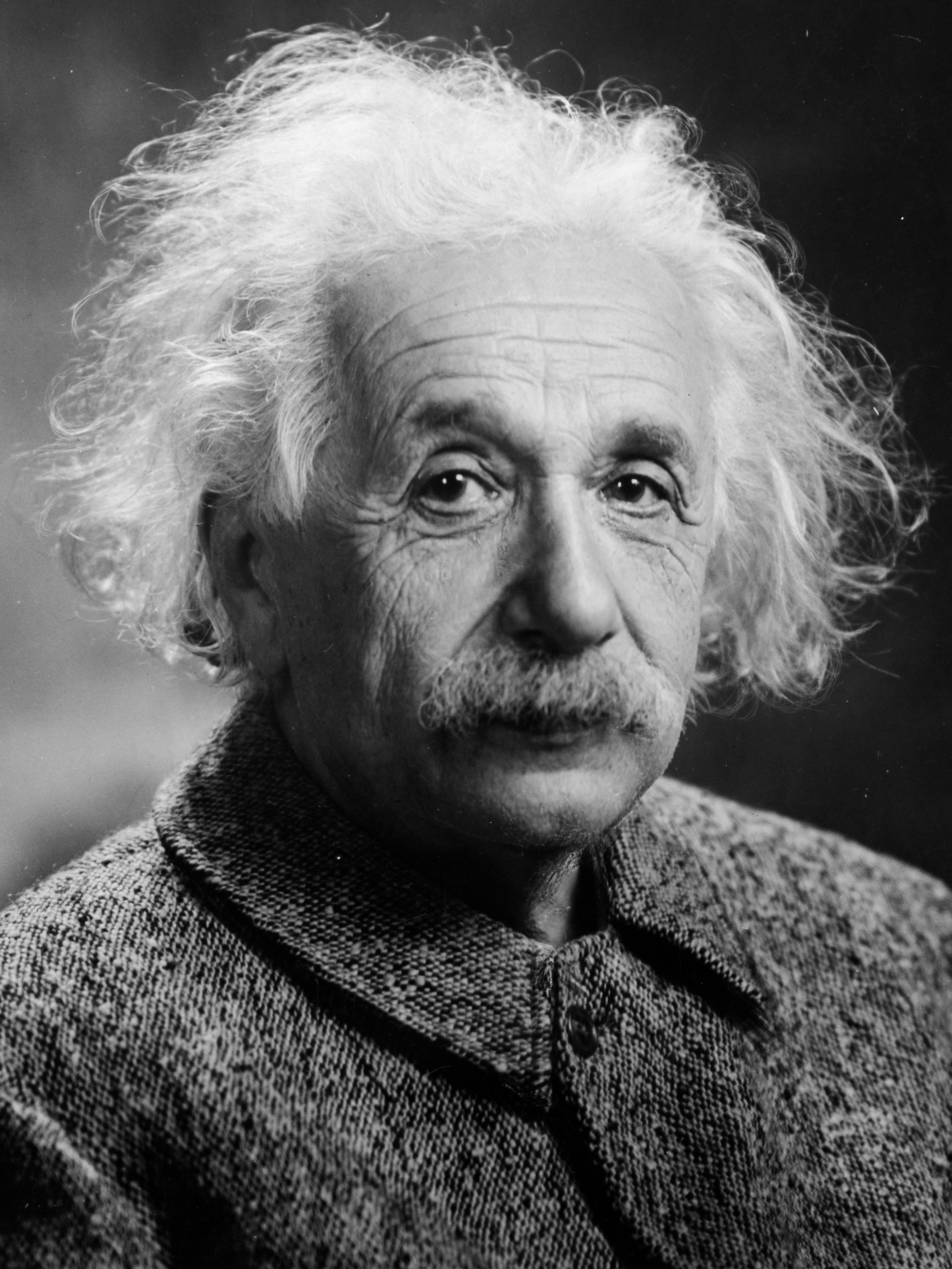 Albert Einstein — portrait photograph