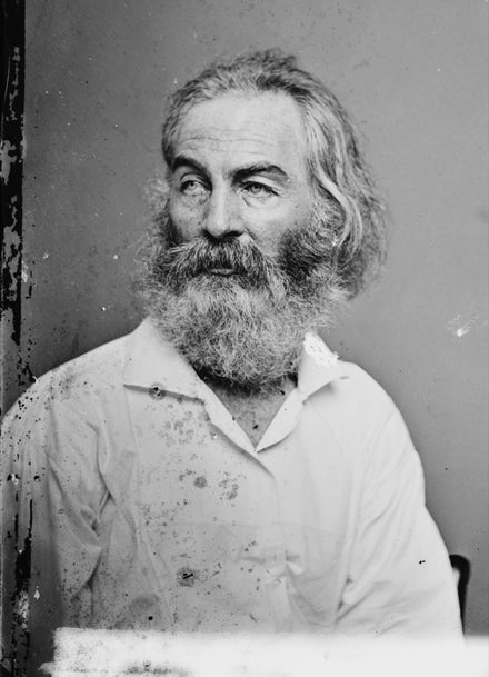 Walt Whitman portrait